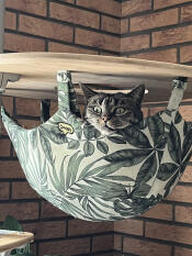 The cosy nest they dream of