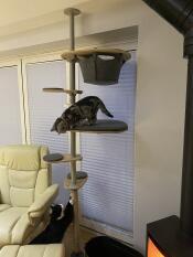 So versatile and sturdy. my cats love it