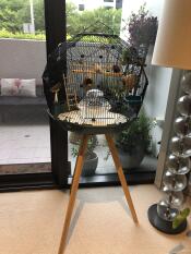 Une cage à oiseaux noire sur un trépied en bois