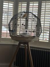 Un oiseau debout sur un perchoir à l'intérieur de sa cage dans une pièce
