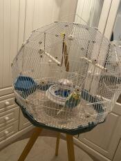 Spacieux et élégant 