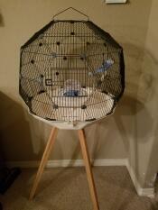 Very Cute but lacking some necessities for bird well-being