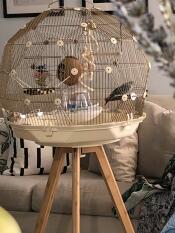 Most Luxurious Cage Ever 