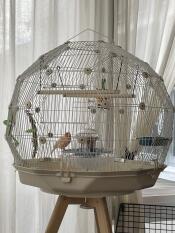 So cool and interesting