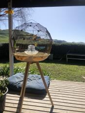 Love the Geo cage!