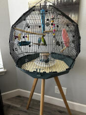 My birds and i love this cage!
