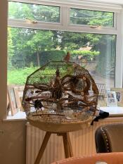 Love this cage deceptively spacious 