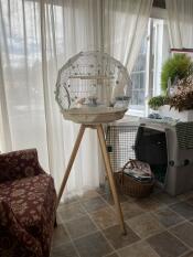 A bird cage on a wooden stand