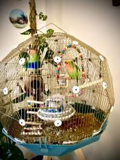 Sembra favoloso, non inGombrante come la maggior parte delle gabbie per uccelli 