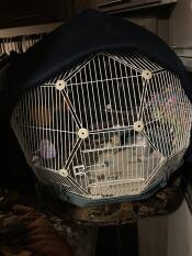 Tiels love it ❤️