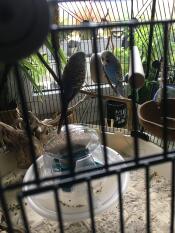 Good function well thought out