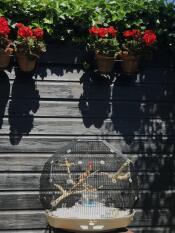 Can't love it enough!