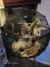 Exceptionally beautiful birdcage