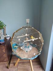 Bella gabbia ma non così pratica