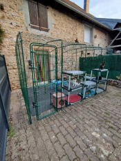 Happiness and safety 