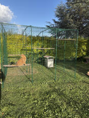 Large enclosure for my super cats