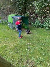 Excellent chicken house 