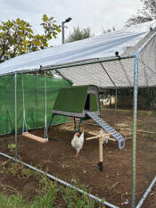 Poulailler Eglu Go  up