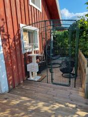 Finally i can sit outside and have coffee with the cats 