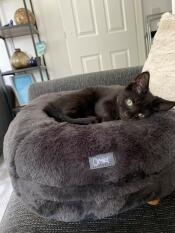 A cat resting in the Earl Grey Maya Donut cat bed.