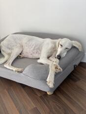 Sådan Good kvalitet