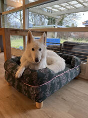 Vacker och God hundbädd