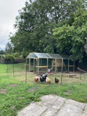 Flexibelt utrymme för höns 