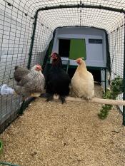 Tolle ergänzung zum lauf