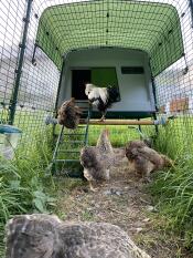 Zusätzliche Einstiegshilfe 