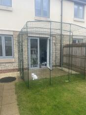 A cat in a catio mounted against the wall of a house