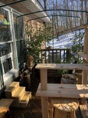 Best investment ever!