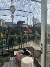 J'adore les nouvelles étagères 😻