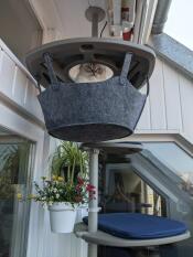 A cat inside the hammock of his cat tree