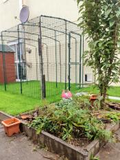 Optimal for our cats