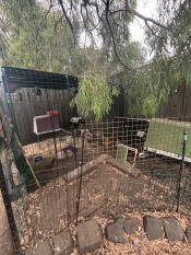 My girls seem tolove the walk in run. they have a large area outside but seem to spend more time in the run than out of it.