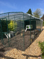 Palace for my 2 girls 