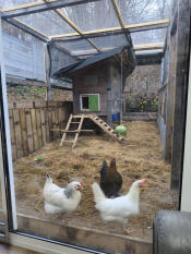 My little fox-proof henhouse!