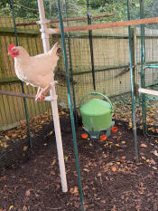 Öppen metallkrok gör det enkelt att lägga till/ta bort ditt hängande föremål