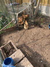 Extra ruimte overdag