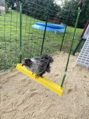 Wegschwingen!