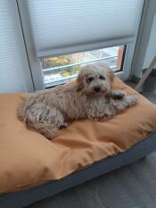 Sofort als Lieblingsplatz angenommen! LENI 6 Monate