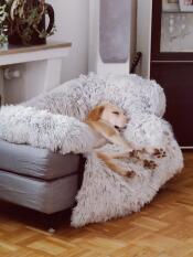 A dog peacefully sleeping on his grey bed with bolster topper