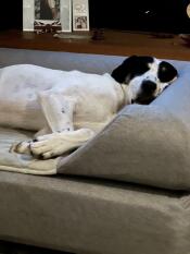 Quelqu'un aime son lit