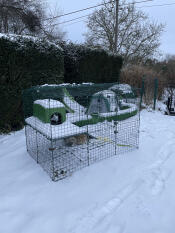 Konijnen schuilen in de sneeuw
