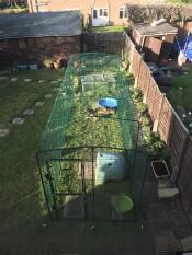 A large Walk In run in a garden with an Eglu Classic chicken coop and other accessories inside