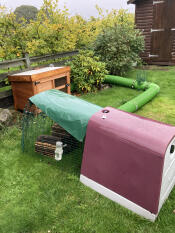 Voor onze twee cavia's :)