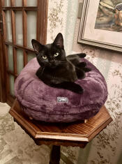 Beautiful and very comfortable!