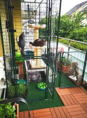 De superbes pièces d'enclos