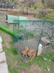 Excellent functionality 