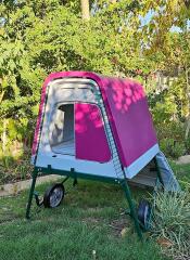 Brilliant chicken coop